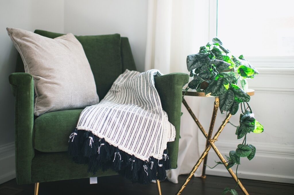 chair, home, room, plant, ivy, interior, table, blanket, nature, pillow, curtain, clean, drapes, silver satin ivy, still life
